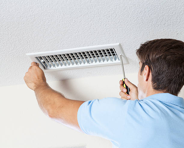 Best Asbestos and Lead Testing During Mold Inspection  in La Plata, NM