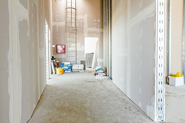Biohazard Mold Removal in La Plata, NM