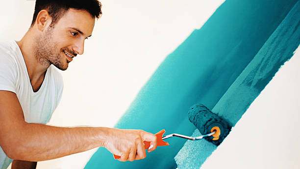Best Black Mold Removal  in La Plata, NM